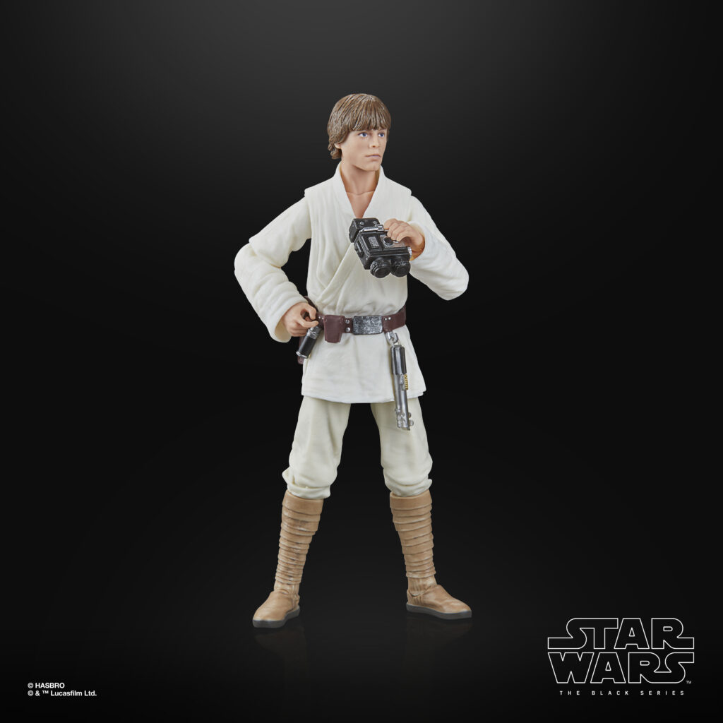 Black Series Luke Skywalker